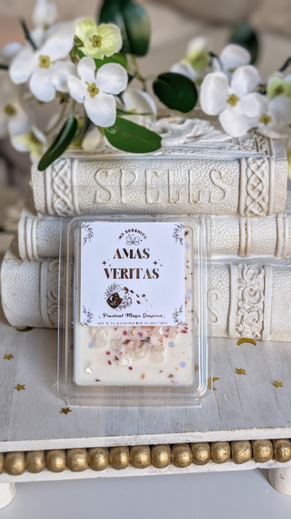 Amas Veritas Wax Melt ~ Practical Magic Inspired