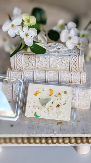 Midnight Margaritas Wax Melt ~ Practical Magic Inspired