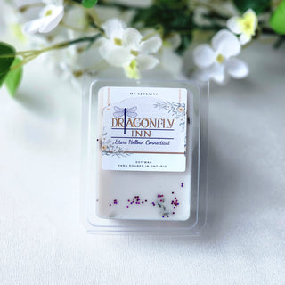 Dragonfly Inn Gilmore Girls Inspired Wax Melts