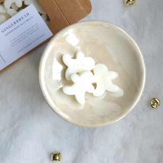 Shimmering Gingerbread soy wax melts