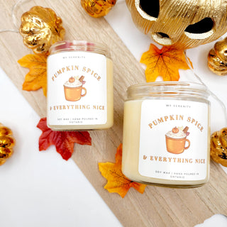 Pumpkin Spice & Everything Nice Candle