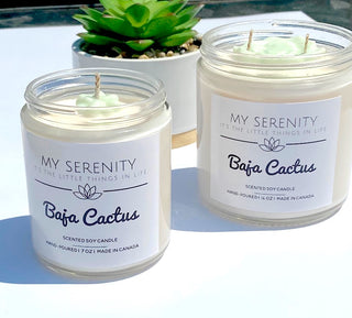 Baja Cactus Blossom Candle